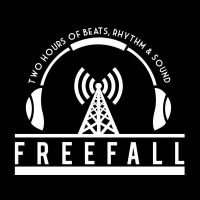 FreeFall w/David Bassin cover