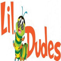 Lil Dudes Insect Academy cover