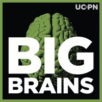 Big Brains cover