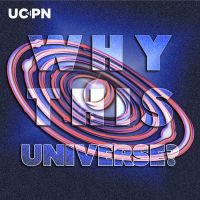 Why This Universe? cover