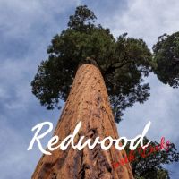 Redwood cover