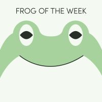 Frog of the Week cover