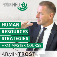 Human Resources Strategies cover