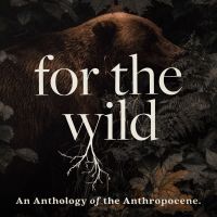 For The Wild cover