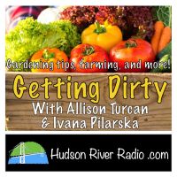 Getting Dirty cover
