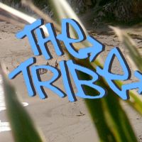 The Tribe Official Podcast cover
