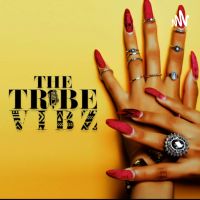 The Tribe Vibz cover
