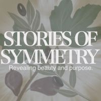 Stories of Symmetry cover