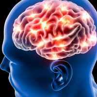 Understanding the Brain cover