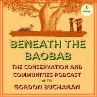 Beneath the Baobab cover