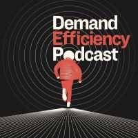 Demand Efficiency cover