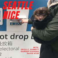Seattle Nice cover