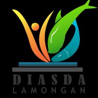DIASPORA MUDA LAMONGAN cover