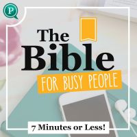 The Bible For Busy People cover