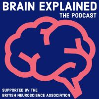 Brain Explained cover