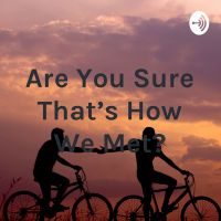 Are You Sure That’s How We Met? cover