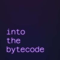 Into the Bytecode cover