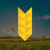Profarmer Australia Market Wrap cover