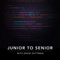 Junior to Senior with David Guttman cover