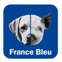 Meitat chen, meitat porc France Bleu Périgord cover