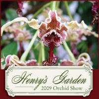Missouri Botanical Garden Orchid Show 2009 cover