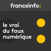 Le vrai du faux numérique cover