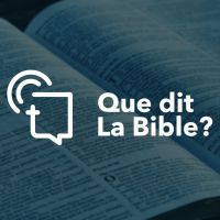 Que dit la Bible ? cover