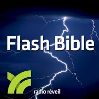 Flash Bible cover