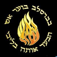 שיעורי תורה ברסלב | Breslev Torah Lessones | breslev212@gmail.com cover