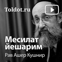 Рав Ашер Кушнир  — Месилат йешарим cover