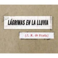 Lágrimas en la lluvia cover