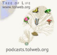 Exploring Arizona Life Science Research and Biodiversity with the Tree of Life Web Project cover