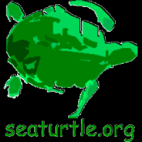 Sea Turtle Multimedia Guide cover
