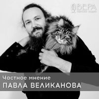 Частное мнение Павла Великанова cover