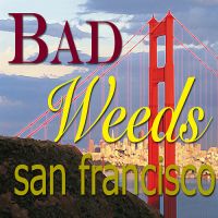- Bad Weeds San Francisco *Queer!* cover