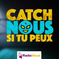 Catch-nous si tu peux cover