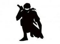 Ninjutsu Training Online cover