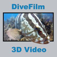 DiveFilm 3D Video cover