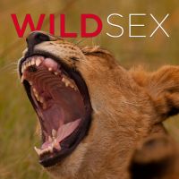 Wild Sex cover
