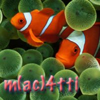 m(ac)4tti Blog cover
