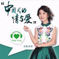中国式的情与爱 cover