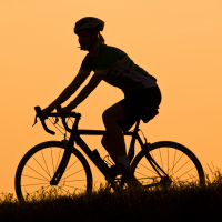 Bicycle Talk cover
