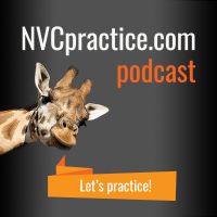 The NVCpractice.com Podcast cover