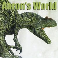 Aaron's World cover