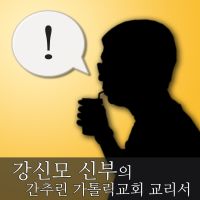 강신모 신부의 간추린 가톨릭 교회 교리서 cover
