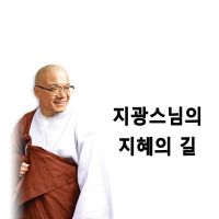 지광스님의 지혜의 길 cover