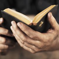 Il Vangelo ci racconta la nostra Bellezza cover