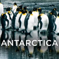 Antarctica cover