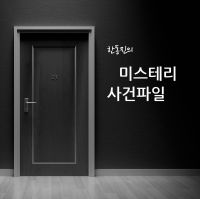 미스테리 사건파일 cover