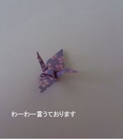 わーわー言うております cover